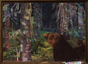 A Bear with Her Cubs in a Coniferous Forest