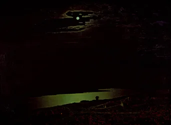 Moonlit Night on the Dniepr