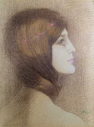 Portrait of a Woman