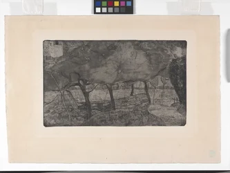 The Apple Trees