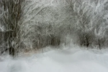 Dreamy Snowy Path