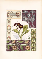 Primrose Motifs and Floral Ornament Variations