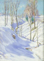 The Ravine