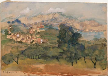 Olive Trees