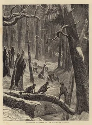 Shooting Turkeys in an American Forest