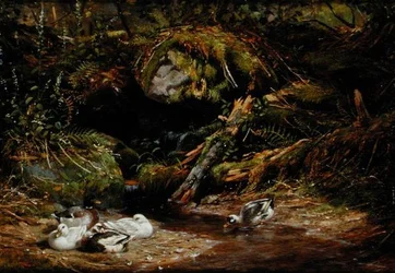 Ducks at the Spring Head