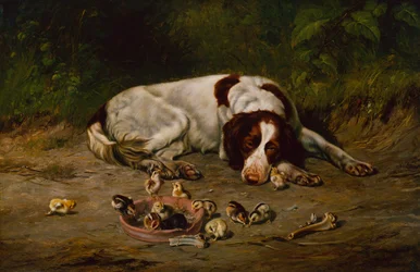 Good Doggy