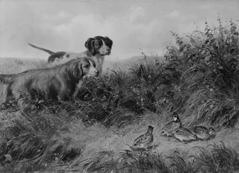 On Point, 1874