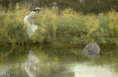 Lost Parasol