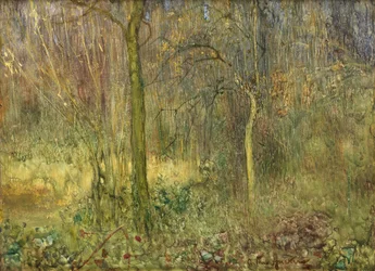 Wooded Glade