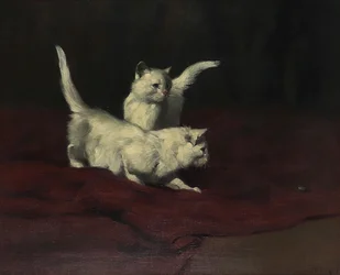 Kittens Watching a Beetle