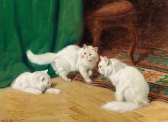 Conversation Amongst Cats