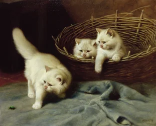 White Angora Kittens with a Beetle