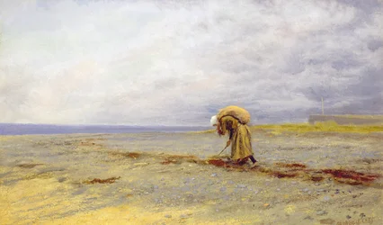 Gathering Seaweed
