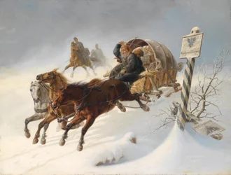 Wild Ride