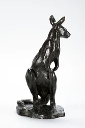 Kangaroo