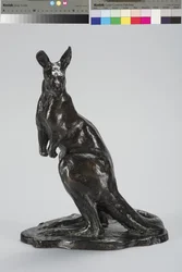 Kangaroo