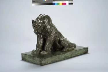 Puma on Guard