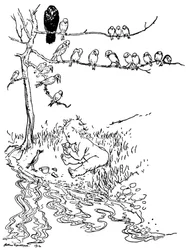 Illustration for Peter Pan