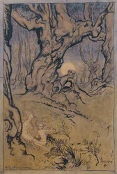 Moonlight Fairies in a Wood
