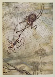 The Spider and the Fly, illustration from 