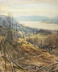 Coniston from Near Tarn Hows