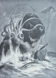 The Kraken vs. Sperm Whales