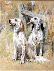 English Setters by a Stile
