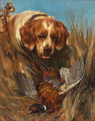 Retrieved