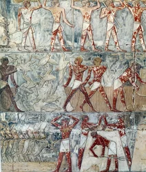 Art Egypt: Agricultural Scene, 6th Dynasty