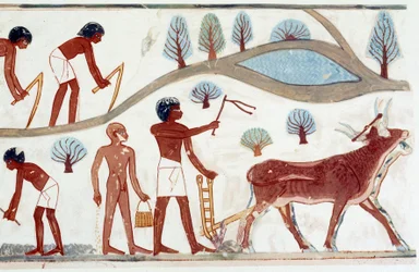 Art Egypt: Plowing Scene, Facsimile from Nakht, Period of Amenophis II (ca. 1450-1425)