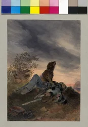 Austrian Soldier Killed in Action