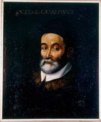 Portrait of Andrea Cesalpino