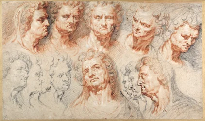 Head Studies