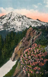The Primrose on Mount Rainier