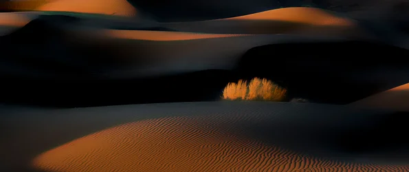 Golden Hour Desert Dunes