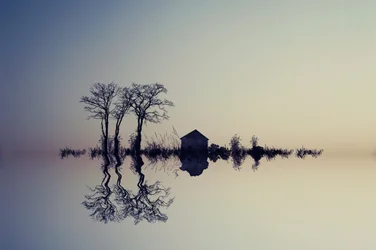 Serene Water Reflection