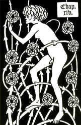 Hermaphrodite Amongst the Roses from Le Morte d