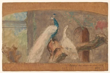 Design for a Supraporte: Branch with Peacock and Other Birds