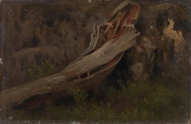 Study of a Decaying Trunk