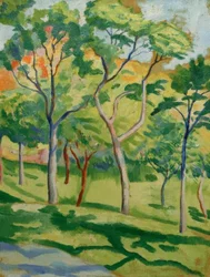 Trees in the Meadow