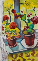 Flowers at the Window - Begonias in Pots I