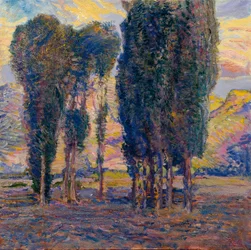 Poplars