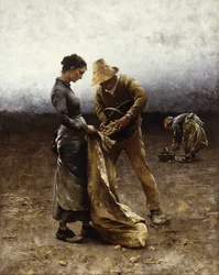 The Potato Gatherers