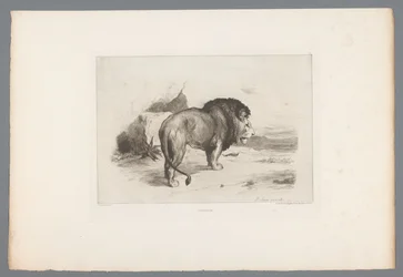 Lion (French Etchings from 1874)