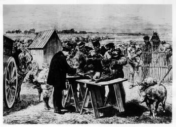Vaccination of sheep by Pasteur, engraved by A. Lançon
