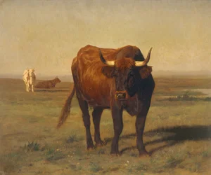 Cattle in Landscape