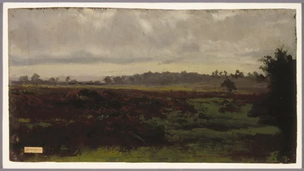 Marshlands, mid-1850s