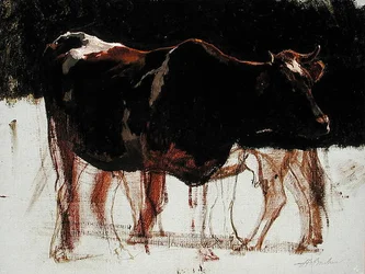 Study of Cattle