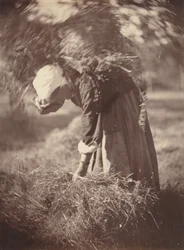 Peasant